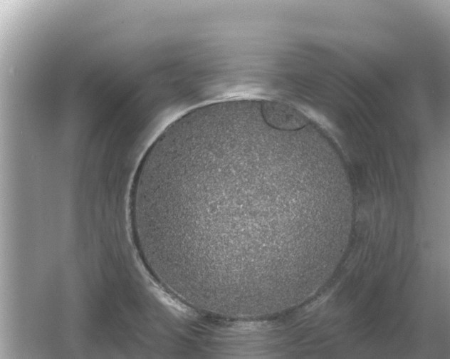 X0000062141423200512121230