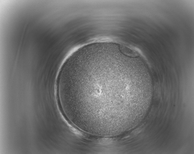 X0000062141424200512121230