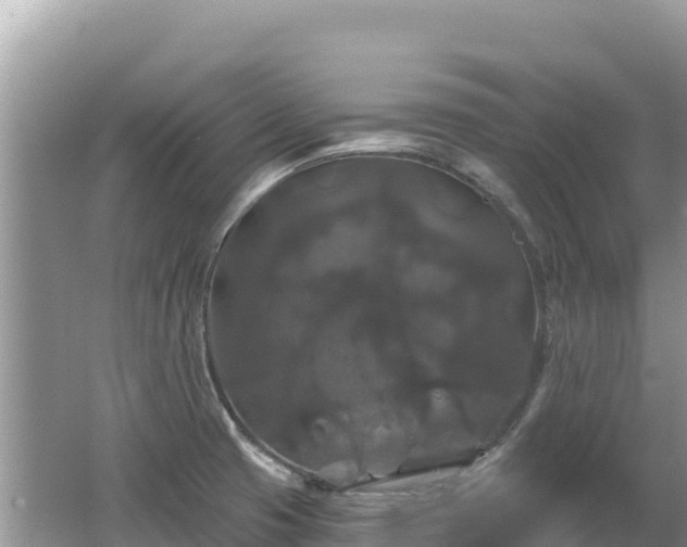 X0000062141425200512121230