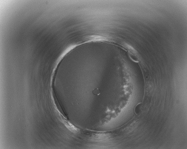 X0000062141427200512121230