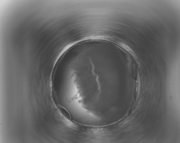 X0000062141428200512121230