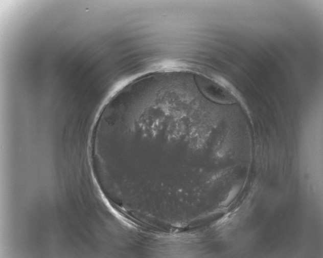 X0000062141429200512121230