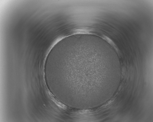 X0000062141435200512121230