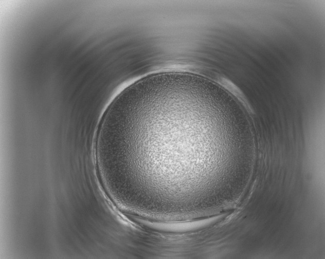 X0000062141436200512121230