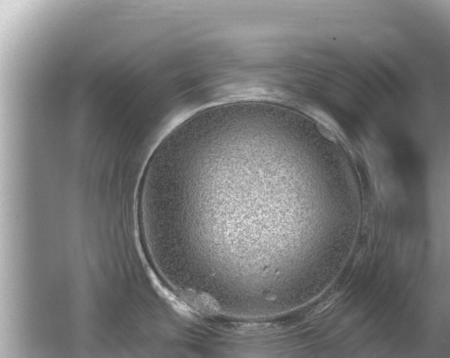 X0000062141439200512121230