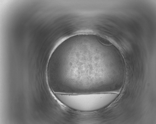 X0000062141440200512121230