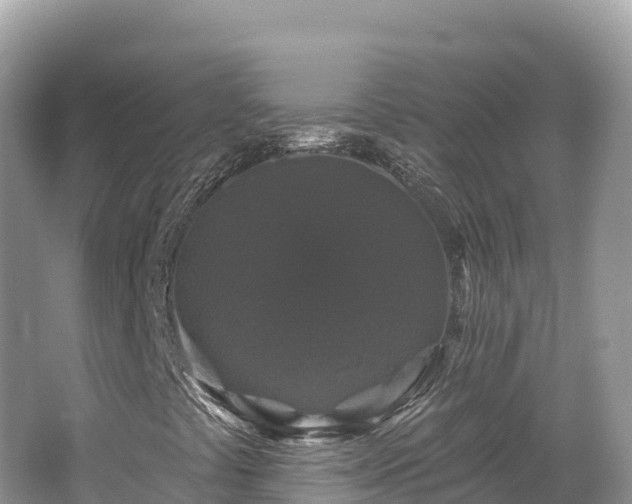 X0000062141441200512121229