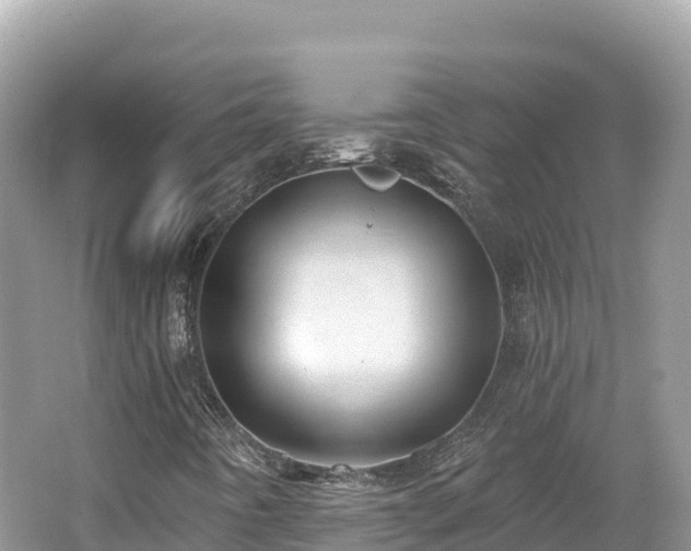 X0000062141442200512121229