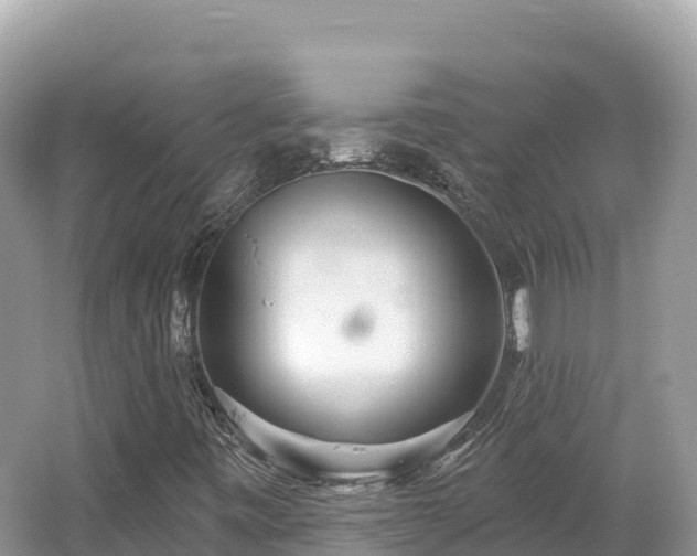 X0000062141443200512121229