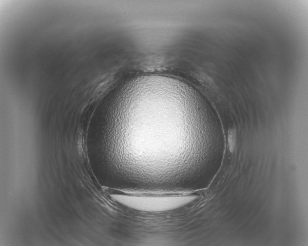 X0000062141444200512121229