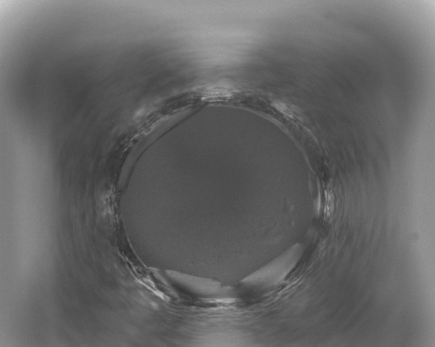 X0000062141445200512121229