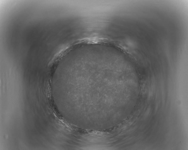 X0000062141446200512121229