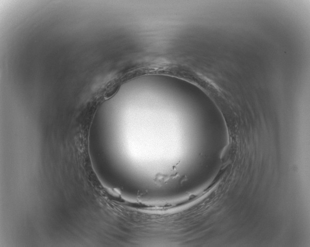 X0000062141447200512121229