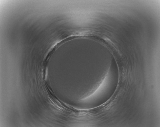 X0000062141449200512121229