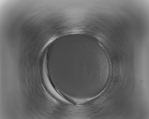 X0000062141450200512121229