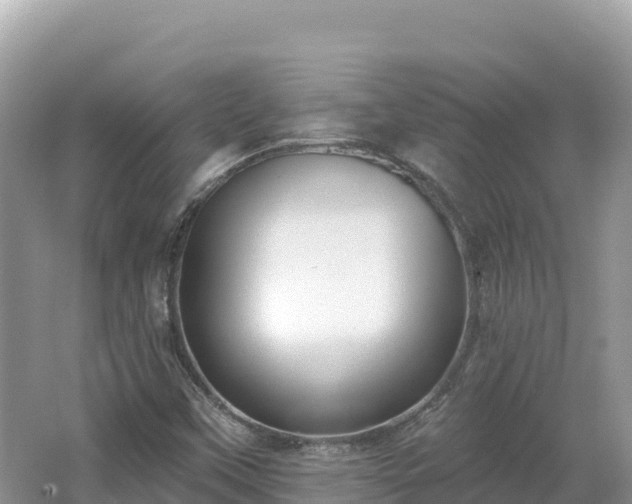 X0000062141451200512121229