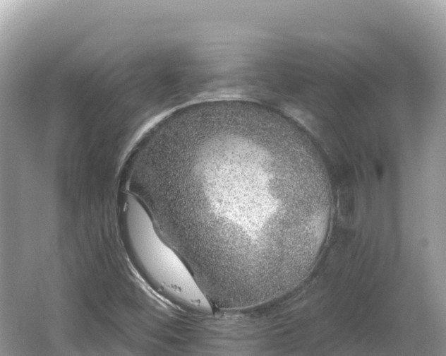 X0000062141452200512121229