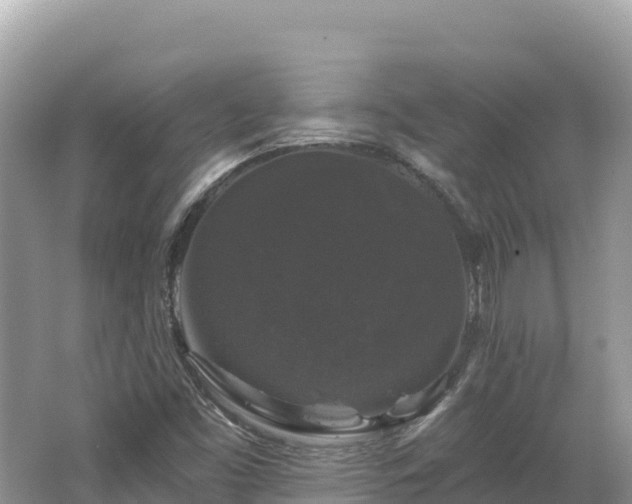 X0000062141453200512121229