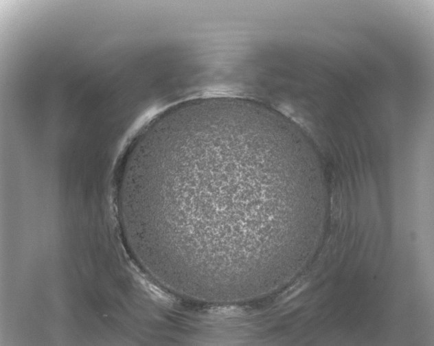 X0000062141454200512121229