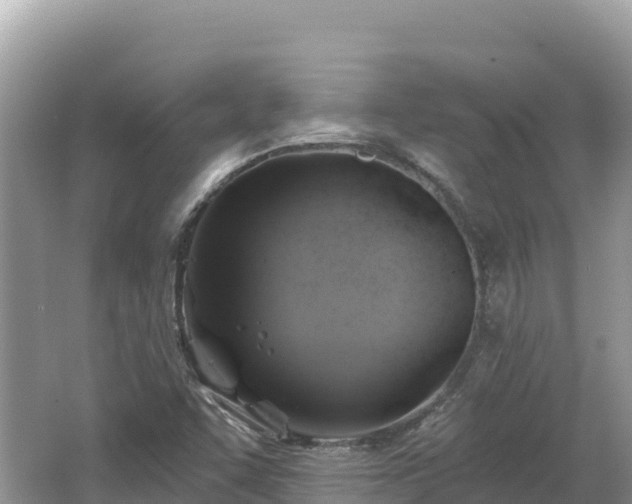 X0000062141455200512121229