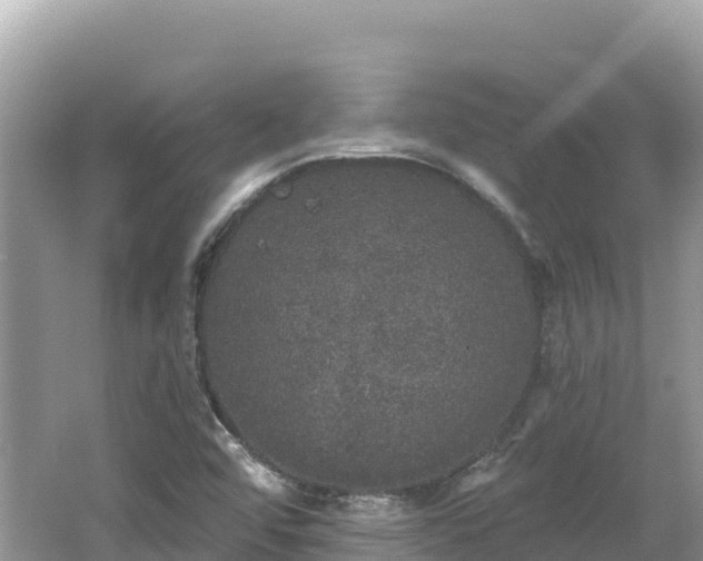 X0000062141456200512121229