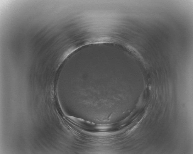 X0000062141457200512121229