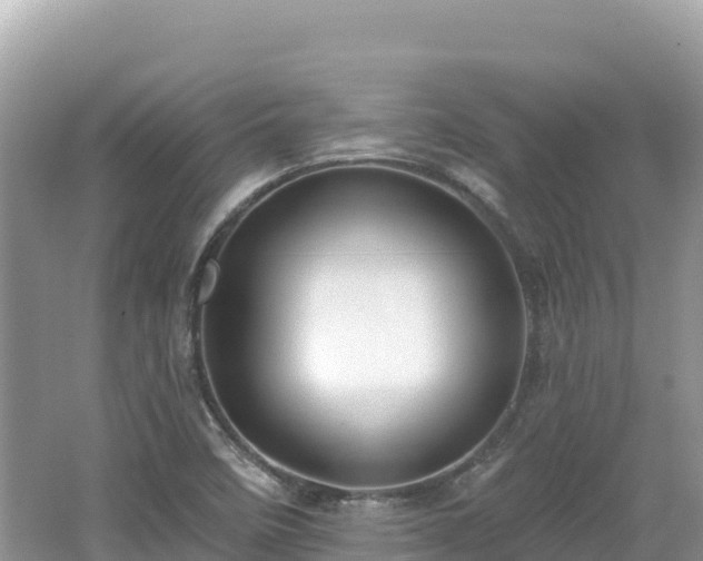 X0000062141458200512121229