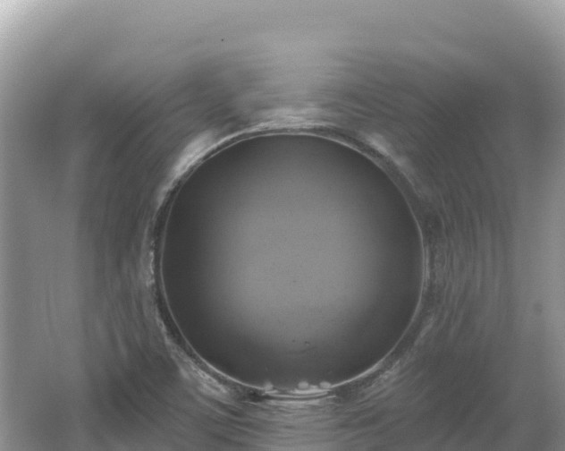 X0000062141459200512121229