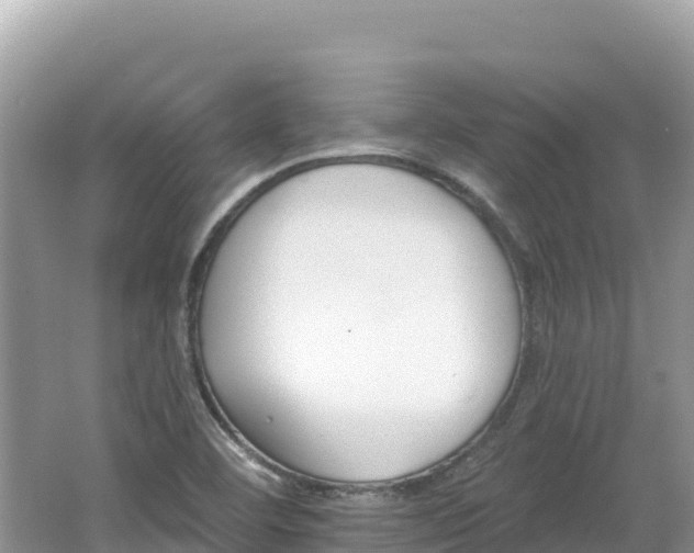 X0000062141460200512121229