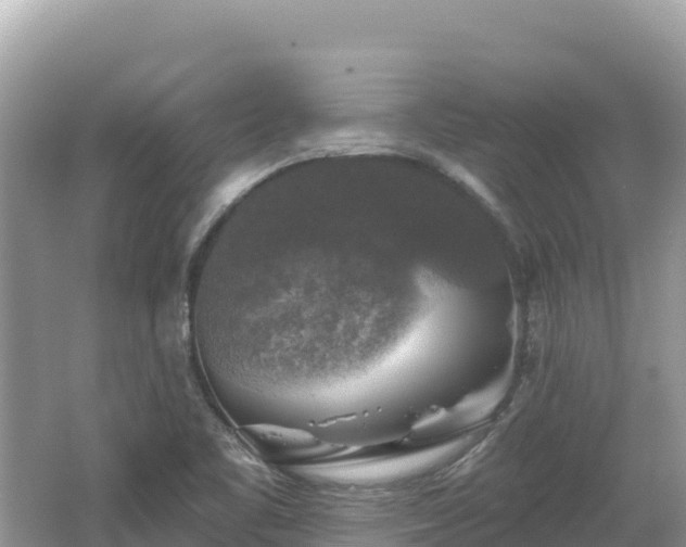 X0000062141461200512121229