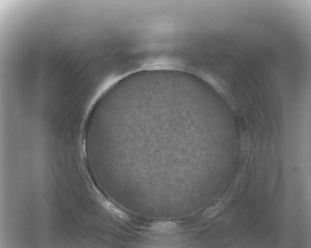 X0000062141462200512121229