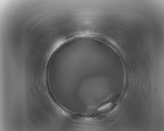 X0000062141463200512121229