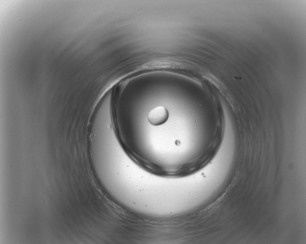 X0000062141465200512121229