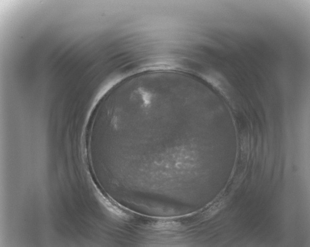 X0000062141466200512121229