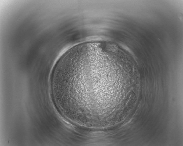 X0000062141467200512121229