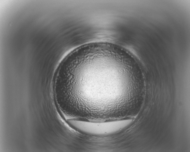 X0000062141468200512121229