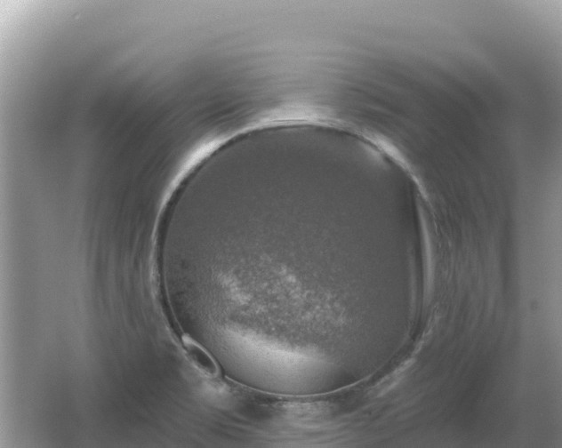 X0000062141469200512121229