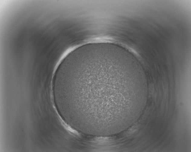 X0000062141470200512121229