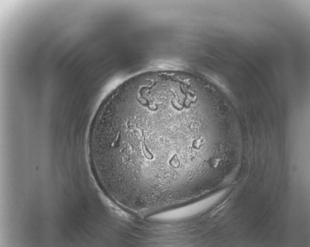 X0000062141471200512121229