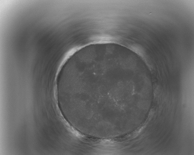 X0000062141472200512121229