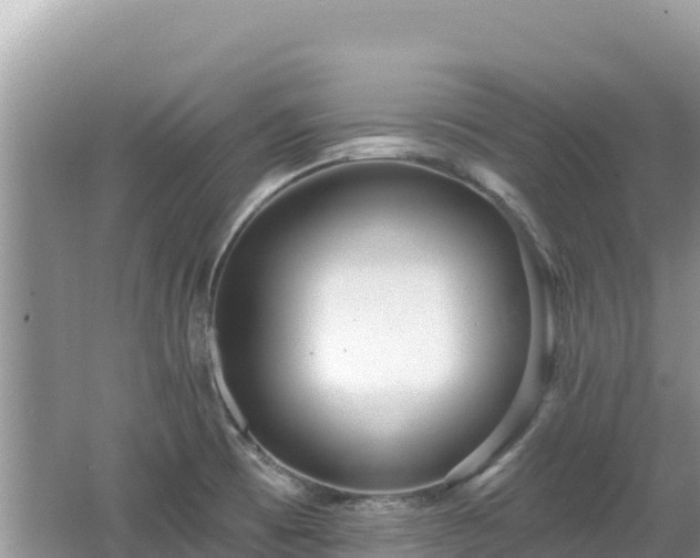 X0000062141473200512121229