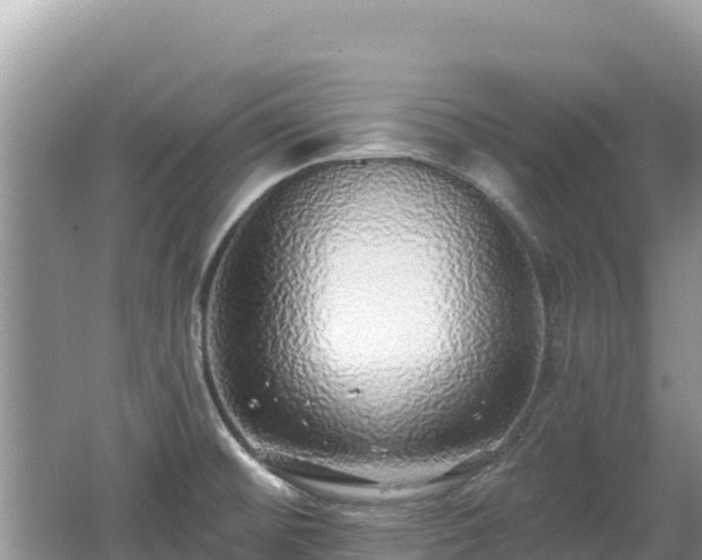 X0000062141476200512121228