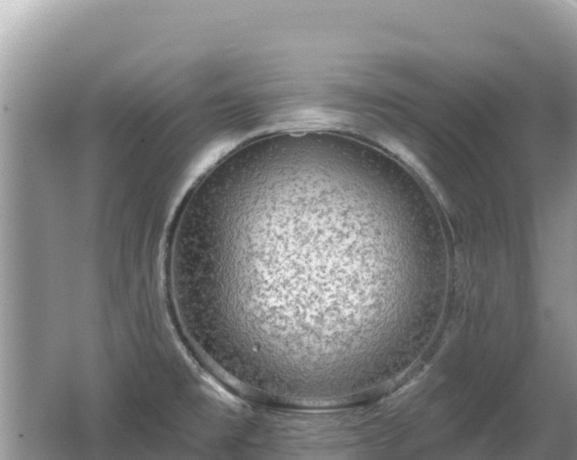 X0000062141477200512121228