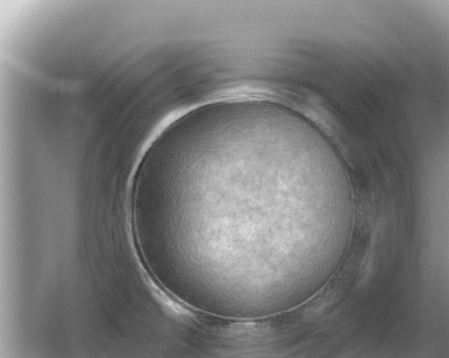 X0000062141478200512121228