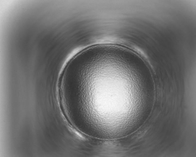 X0000062141480200512121228