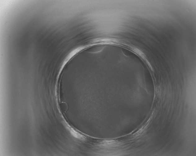 X0000062141482200512121228