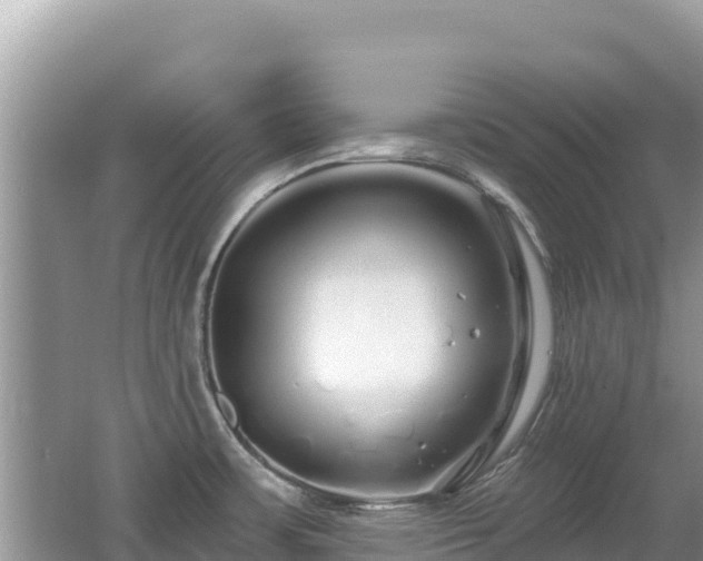 X0000062141483200512121228