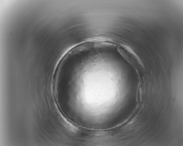 X0000062141484200512121228