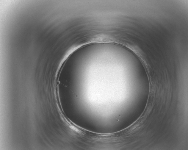 X0000062141486200512121228