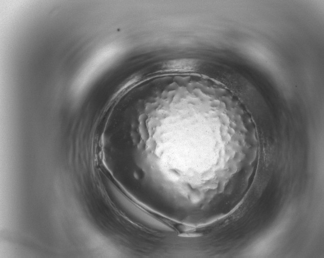 X0000062141487200512121228